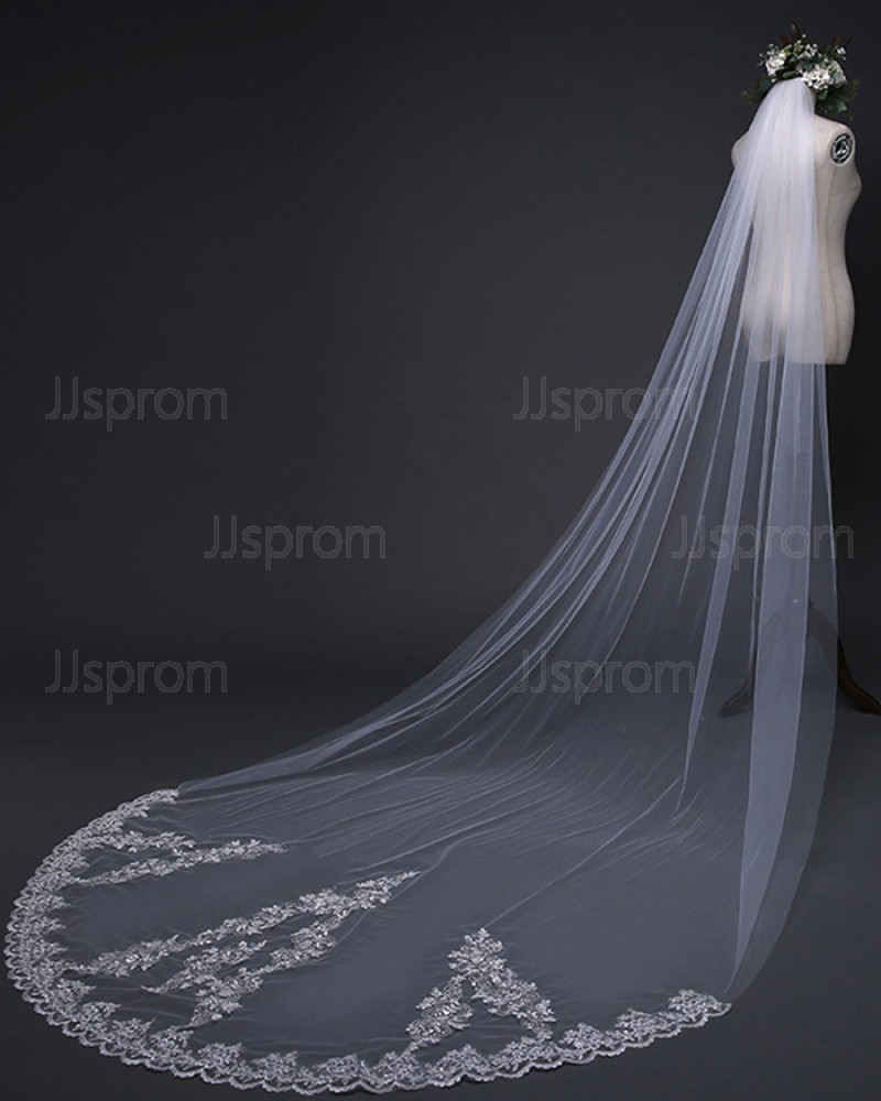 White Lace Applique Edge Cathedral Length Wedding Veil TS17119