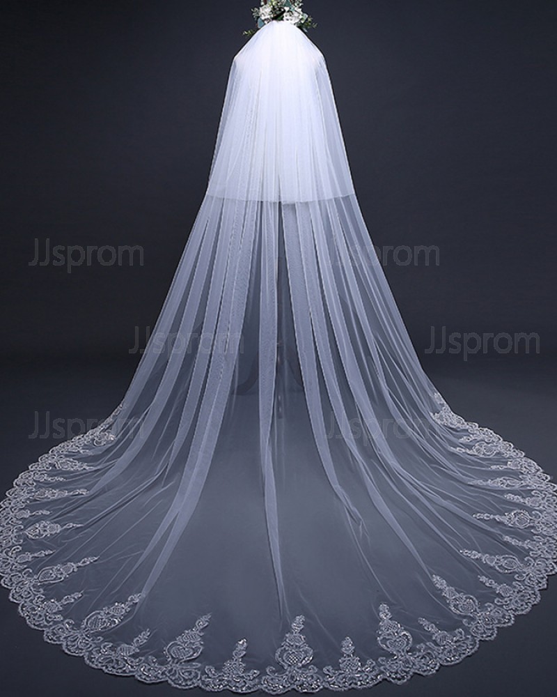 Two Tier Lace Applique Tulle Cathedral Length Wedding Veil TS17120