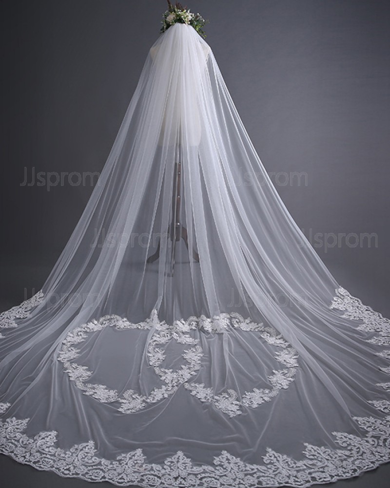 White One Tier Tulle Lace Applique Cathedral Length Wedding Veil TS17139