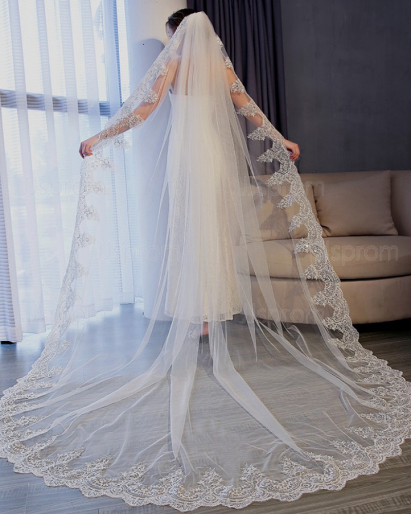 Gorgeous Lace Applique Edge Tulle Cathedral Wedding Veil TS17154