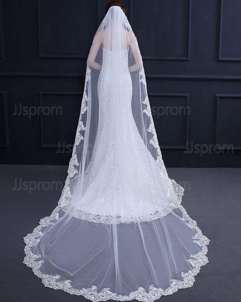 Lace Applique Edge Cathedral Length Wedding Veil with Comb TS18013