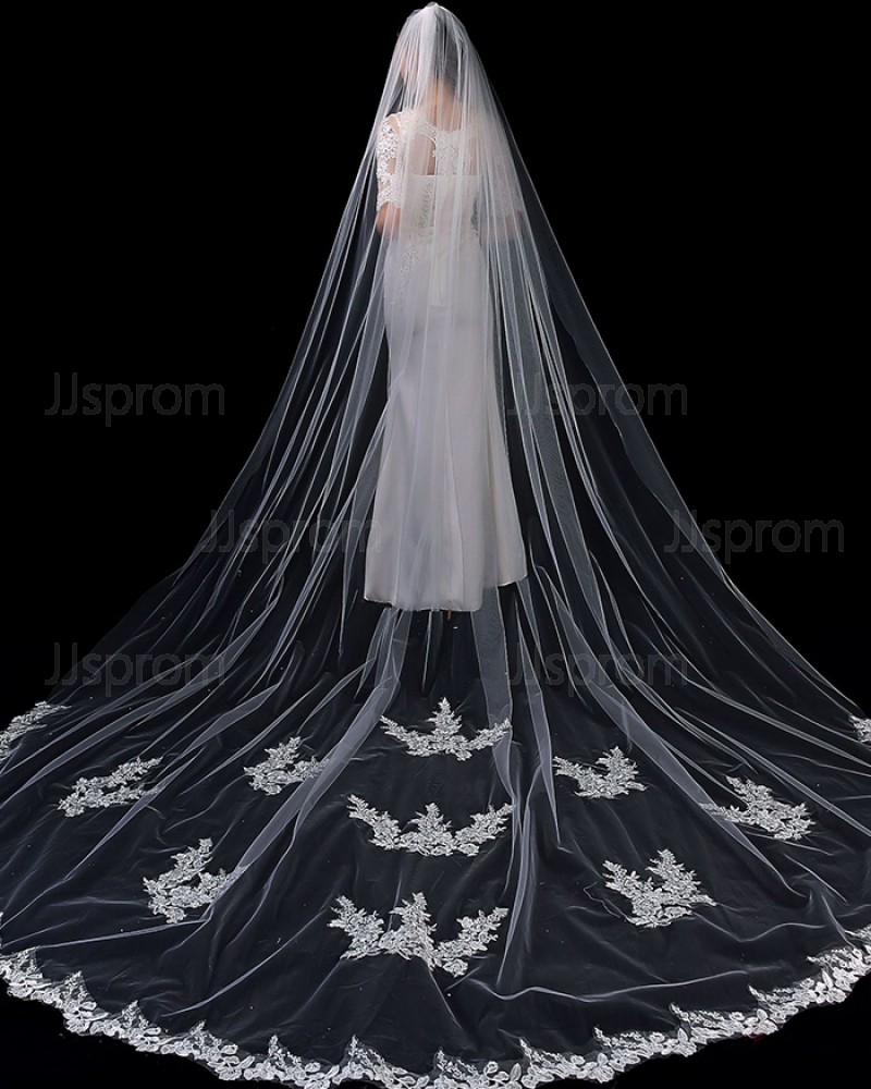 Ivory Tulle Applique Cathedral Length Wedding Veil with Comb TS1907