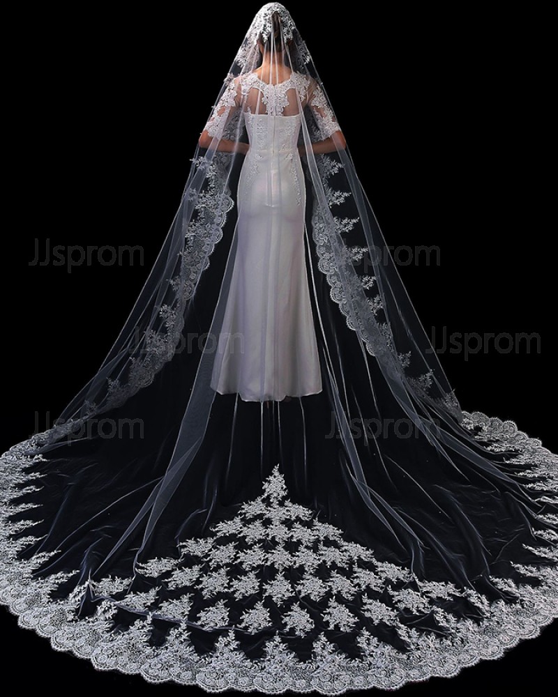 Elegant One Tier White Tulle Applique Cathedral Length Wedding Veil TS1908