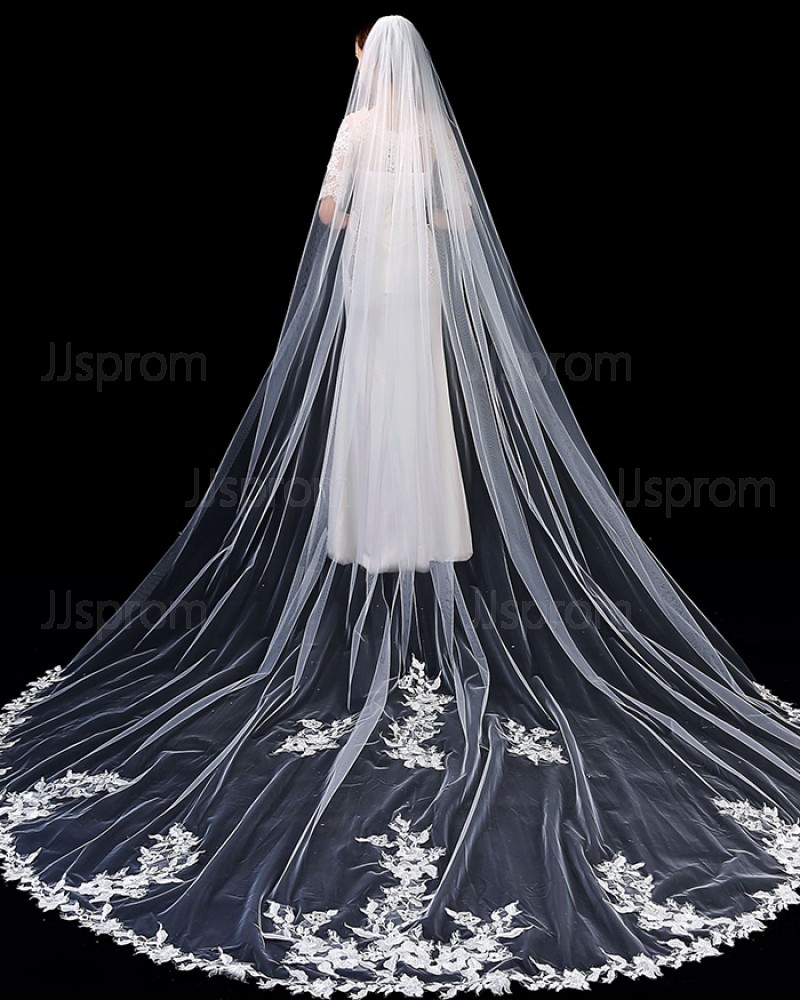 Ivory One Tier Lace Applique Edge Tulle Cathedral Length Wedding Veil with Comb TS1910