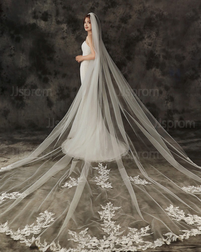 One Tier Ivory Applique Edge Cathedral Length Wedding Veil with Comb TS1910A