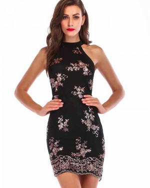 High Neck Lace Sequin Bodycon Club Dress DG1011