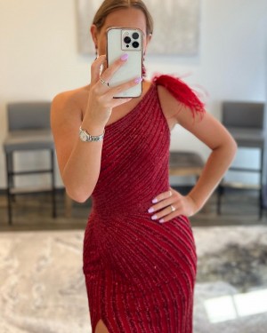 Burgundy Stripe Sequin One Shoulder Mermaid Prom Dress with Feather PD2408