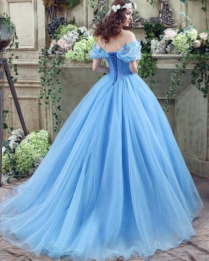 Blue Tulle Beading Ball Gown Off the Shoulder Evening Dress with Butterfly Applique PD2530