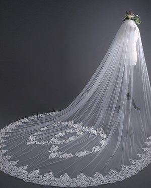 White One Tier Tulle Lace Applique Cathedral Length Wedding Veil TS17139