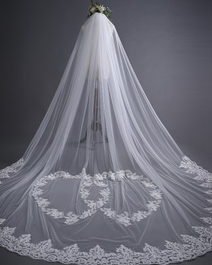 White One Tier Tulle Lace Applique Cathedral Length Wedding Veil TS17139