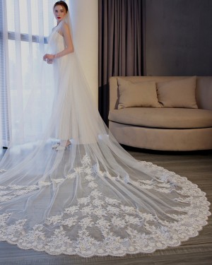 White Lace Applique Edge Tulle Cathedral Length Wedding Veil TS17153