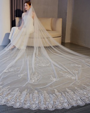 Ivory Lace Applique Edge Tulle Cathedral Length Wedding Veil TS17155