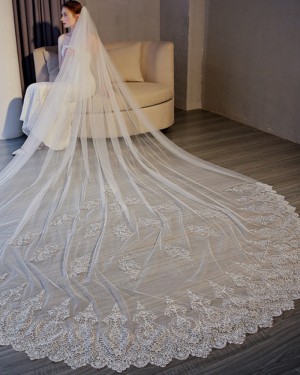 One Tier White Lace Applique Edge Cathedral Wedding Veil TS17156