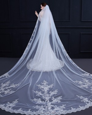 White Lace Applique Edge Cathedral Length Wedding Veil TS18009