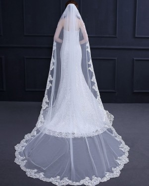 Lace Applique Edge Cathedral Length Wedding Veil with Comb TS18013