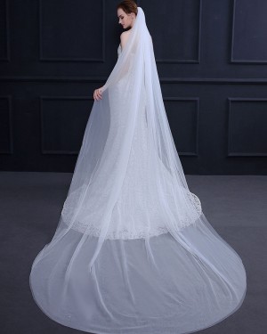Simple White Tulle Cathedral Length Wedding Veil TS18015