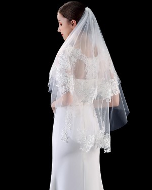 Two Tiers Tulle Lace Applique Edge Wedding Veil with Comb TS1902