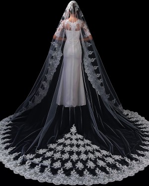 Elegant One Tier White Tulle Applique Cathedral Length Wedding Veil TS1908