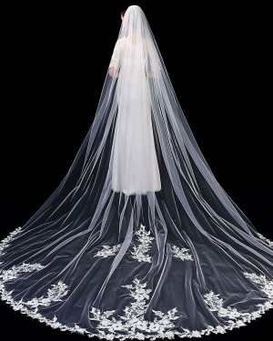 Ivory One Tier Lace Applique Edge Tulle Cathedral Length Wedding Veil with Comb TS1910