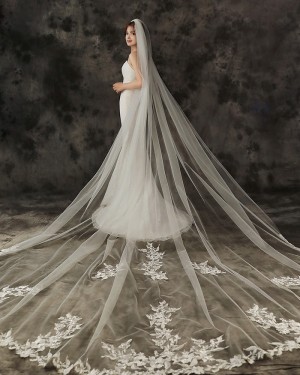 One Tier Ivory Applique Edge Cathedral Length Wedding Veil with Comb TS1910A