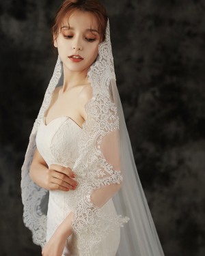 White Lace Applique Tulle Cathedral Length Wedding Veil TS1927